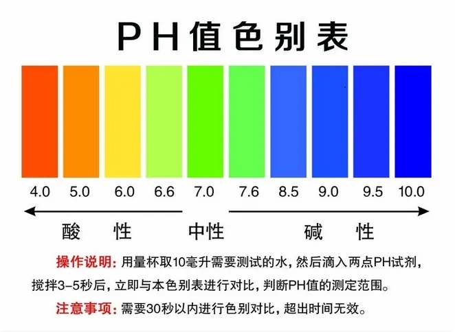 webp.webp (2).jpg webp.webp (2).jpg